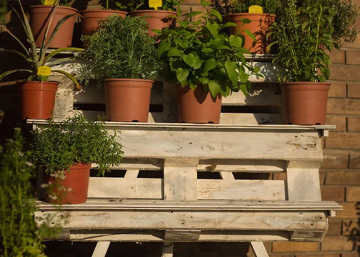 Terradets Ξενοδοχείο 3*